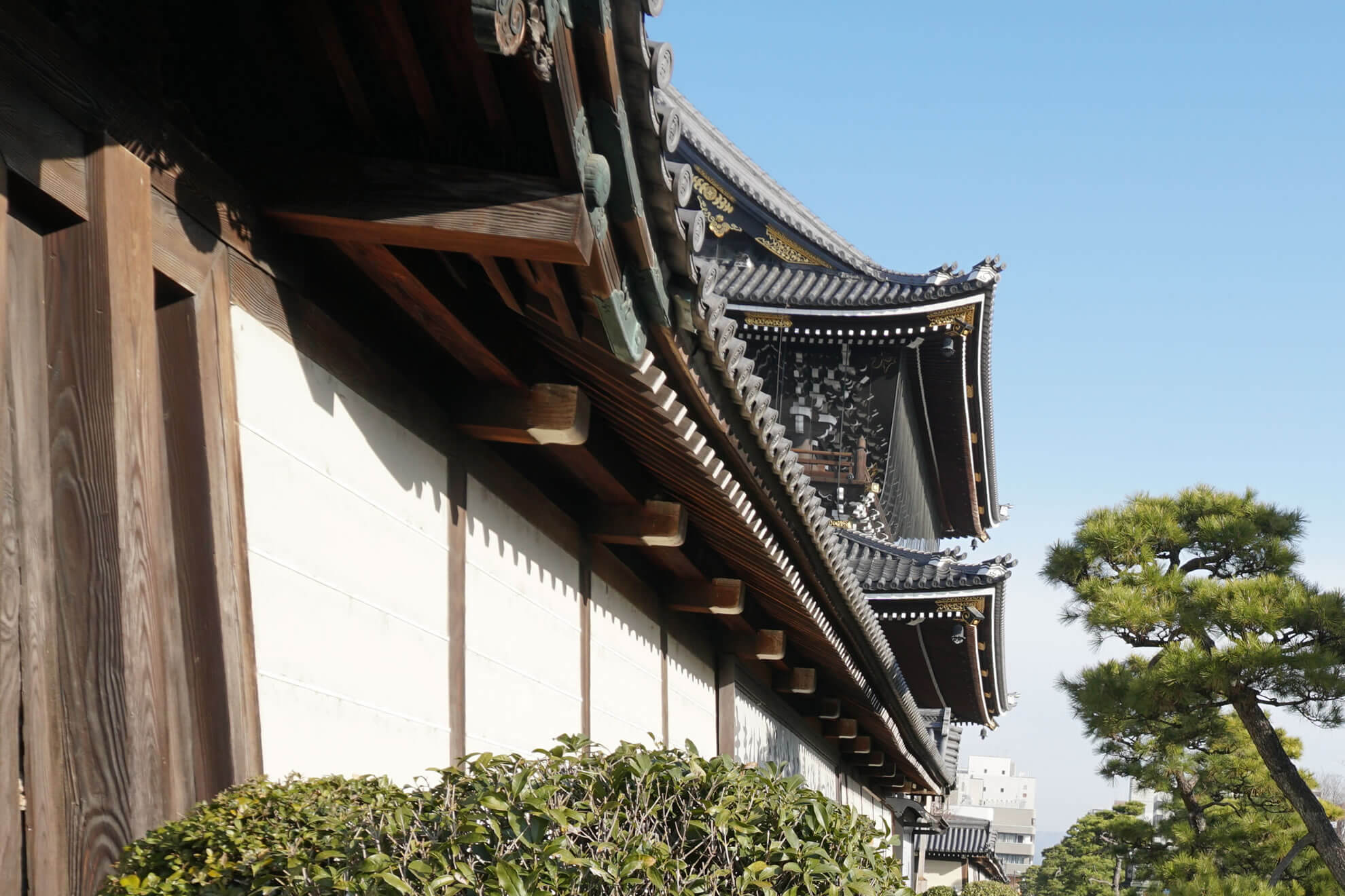 恵庭市WebUnit(ウェブユニット)のMV